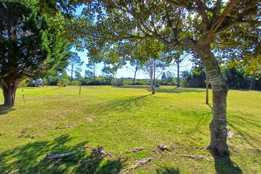 Commercial Property for Sale in Roodefontein AH Western Cape